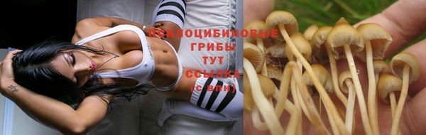 каннабис Аркадак