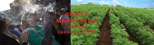 каннабис Аркадак