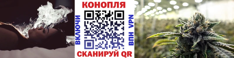 МАРИХУАНА план  Приозерск 